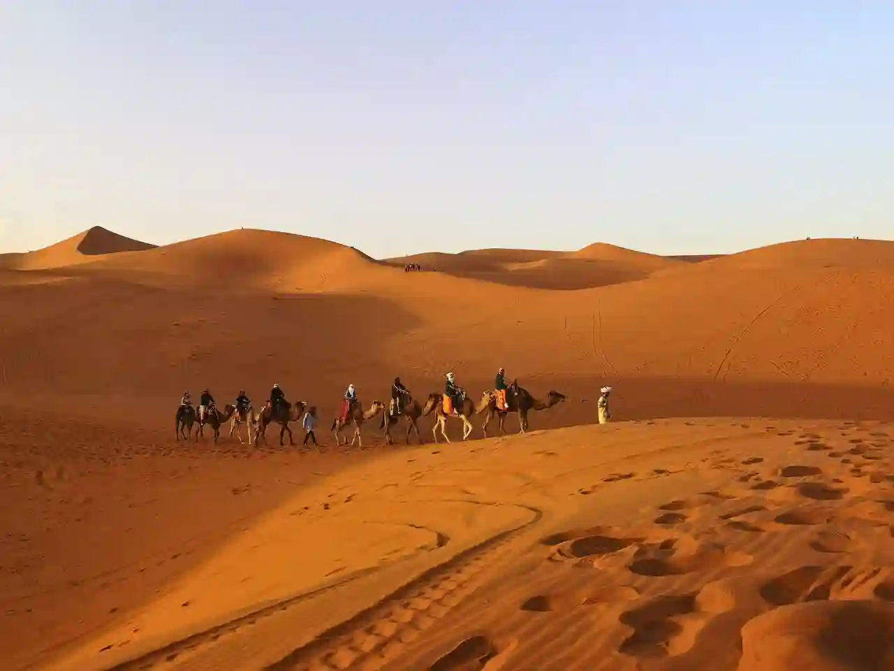 Camel caravan crossing the Erg Chebbi dunes on the Marrakech to Fes tour