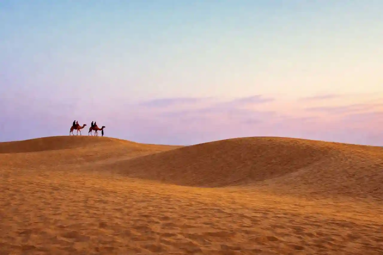 Camel caravan at sunset on the Erg Chebbi dunes near Merzouga