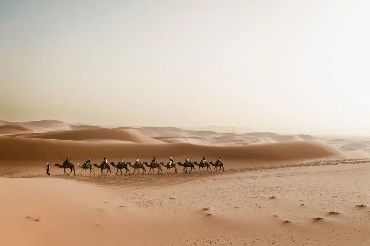 Sahara camel caravan on the seven-day Morocco itinerary from Casablanca to Marrakech