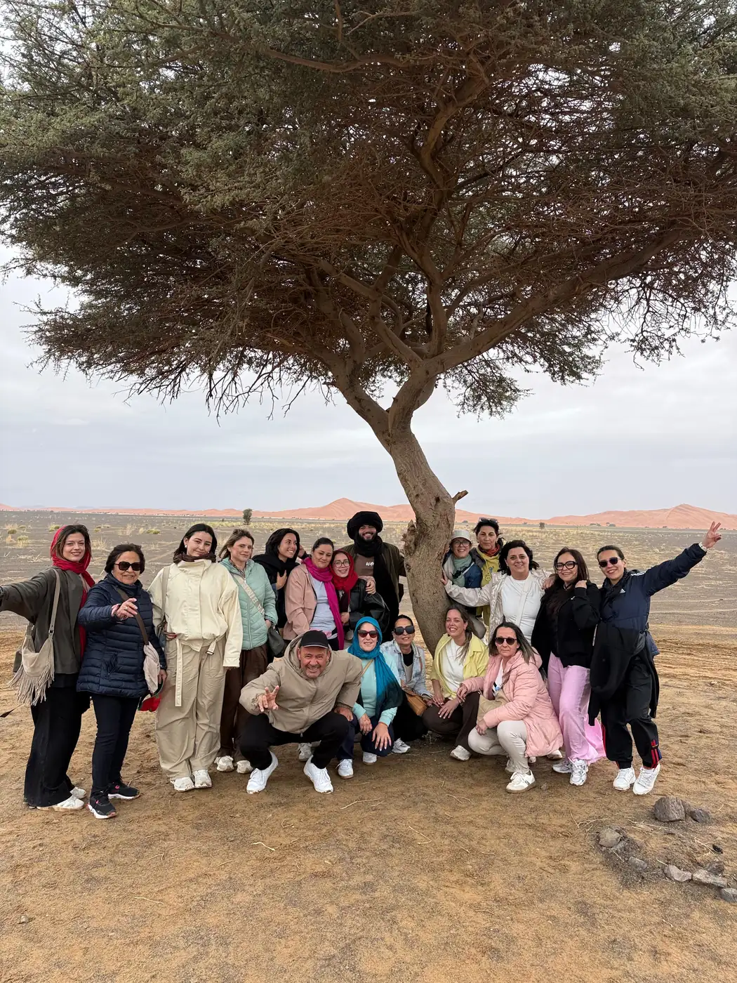 Travelers gathered beneath an acacia tree near Merzouga