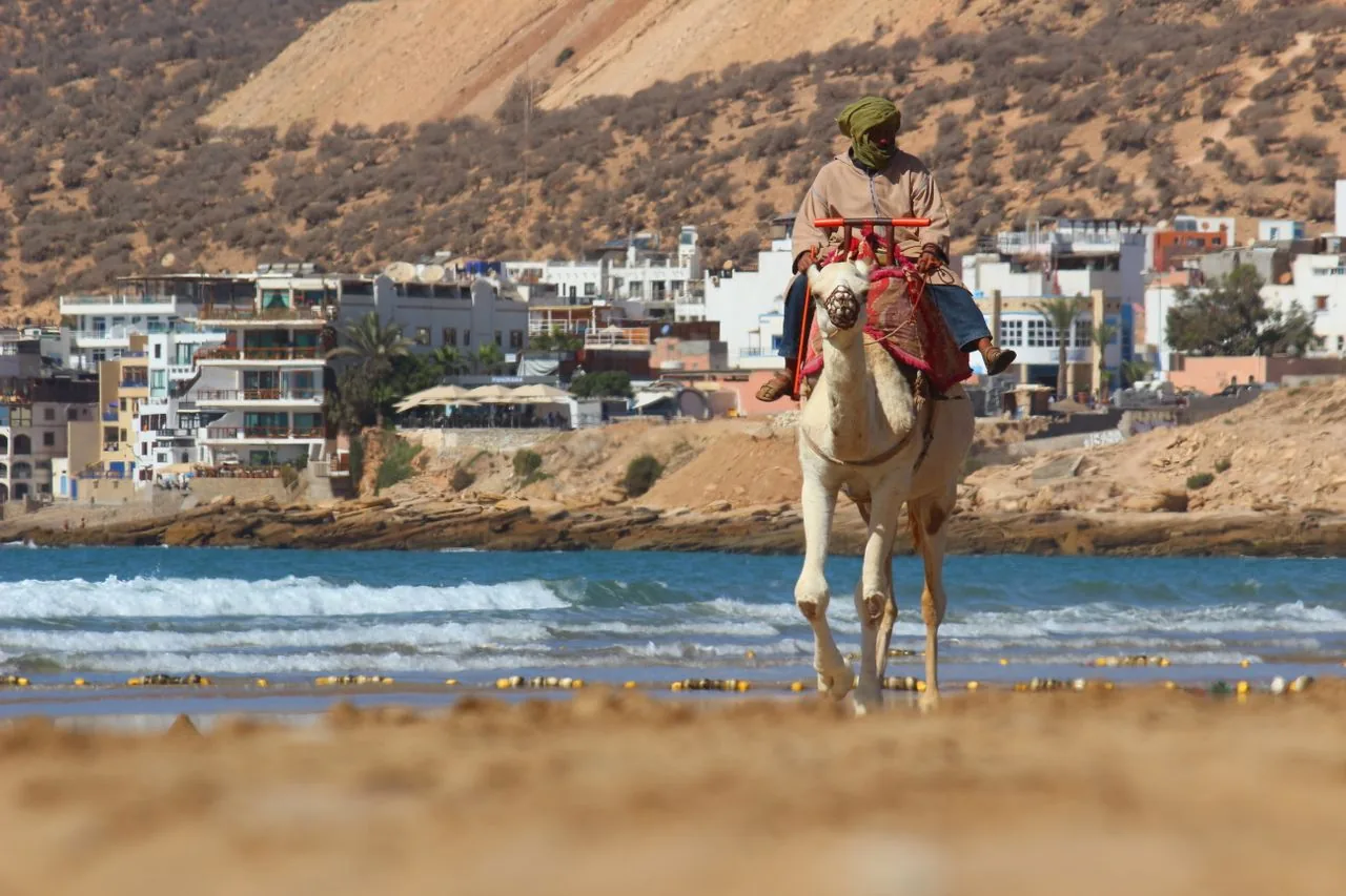 A camel rider on the beach along the Taghazout coast near Agadir