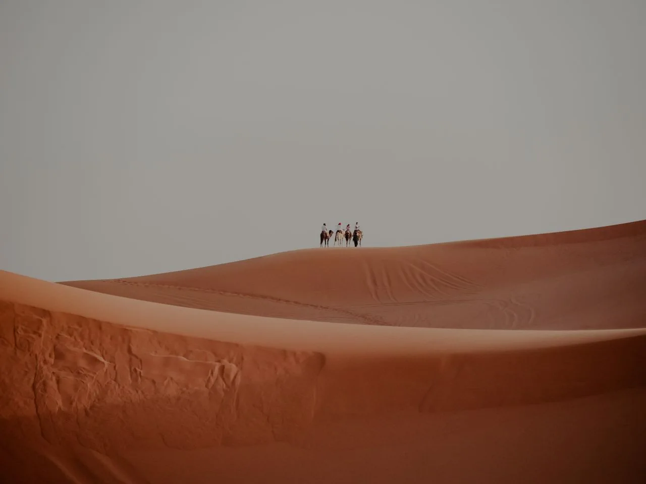 Tour de 8 días desde Marrakech: caravana de camellos cruzando las dunas de Erg Chebbi