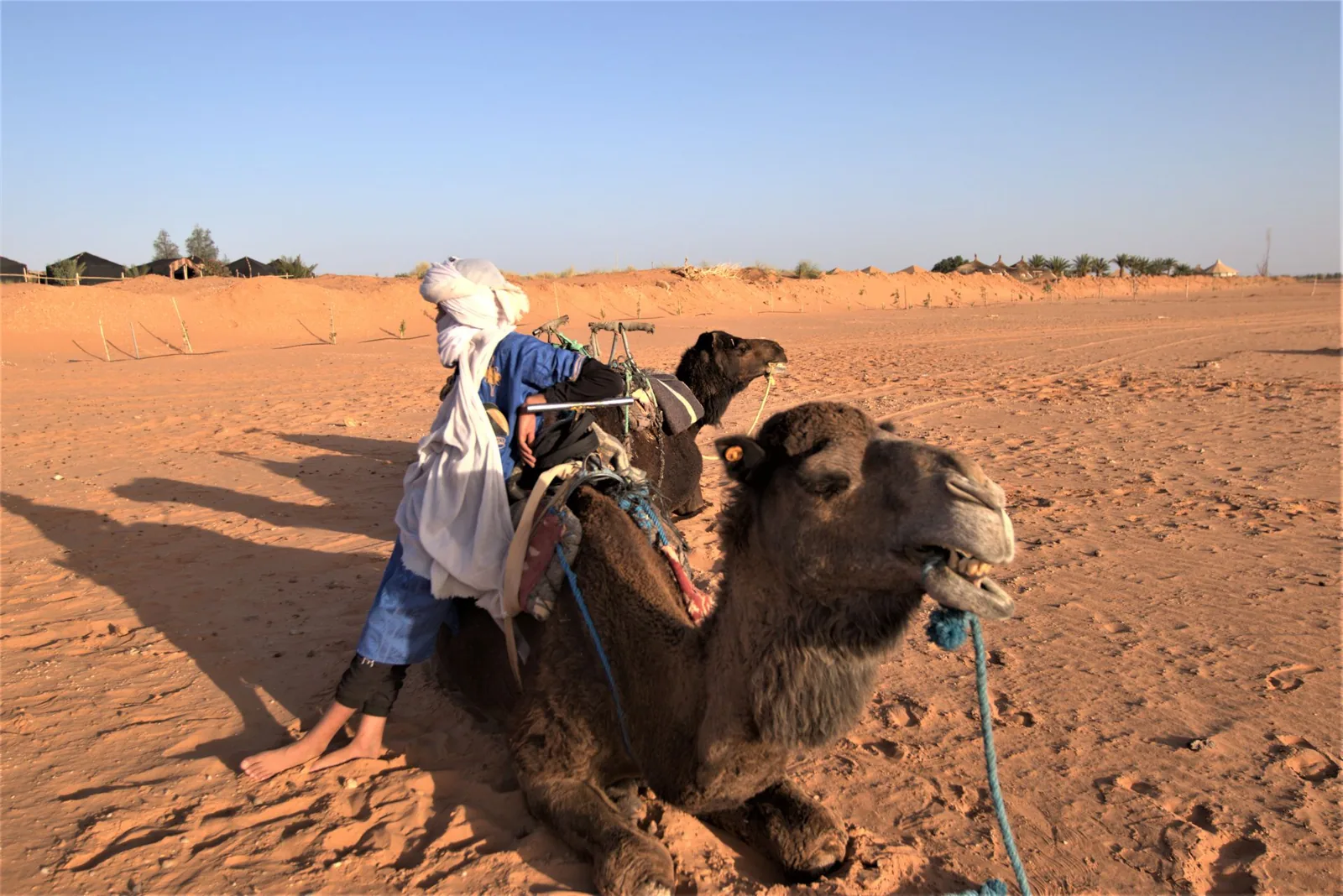 Guía de camellos con turbante blanco descansando junto a camellos ensillados cerca de un campamento del desierto en Merzouga durante el tour por el desierto desde Errachidia