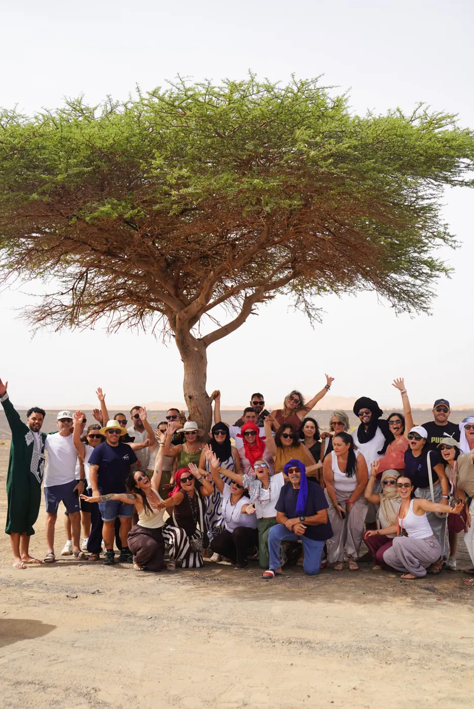 Travelers gathering beneath an acacia tree near the Merzouga dunes