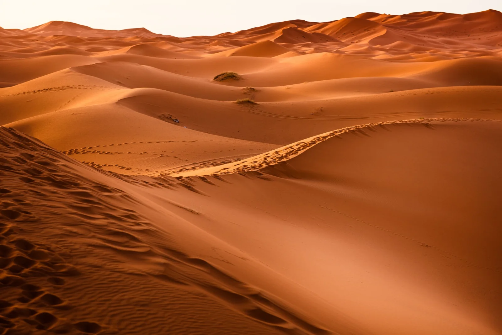 Dunas de arena dorada del Sáhara en Erg Chebbi, cerca de Merzouga, Marruecos