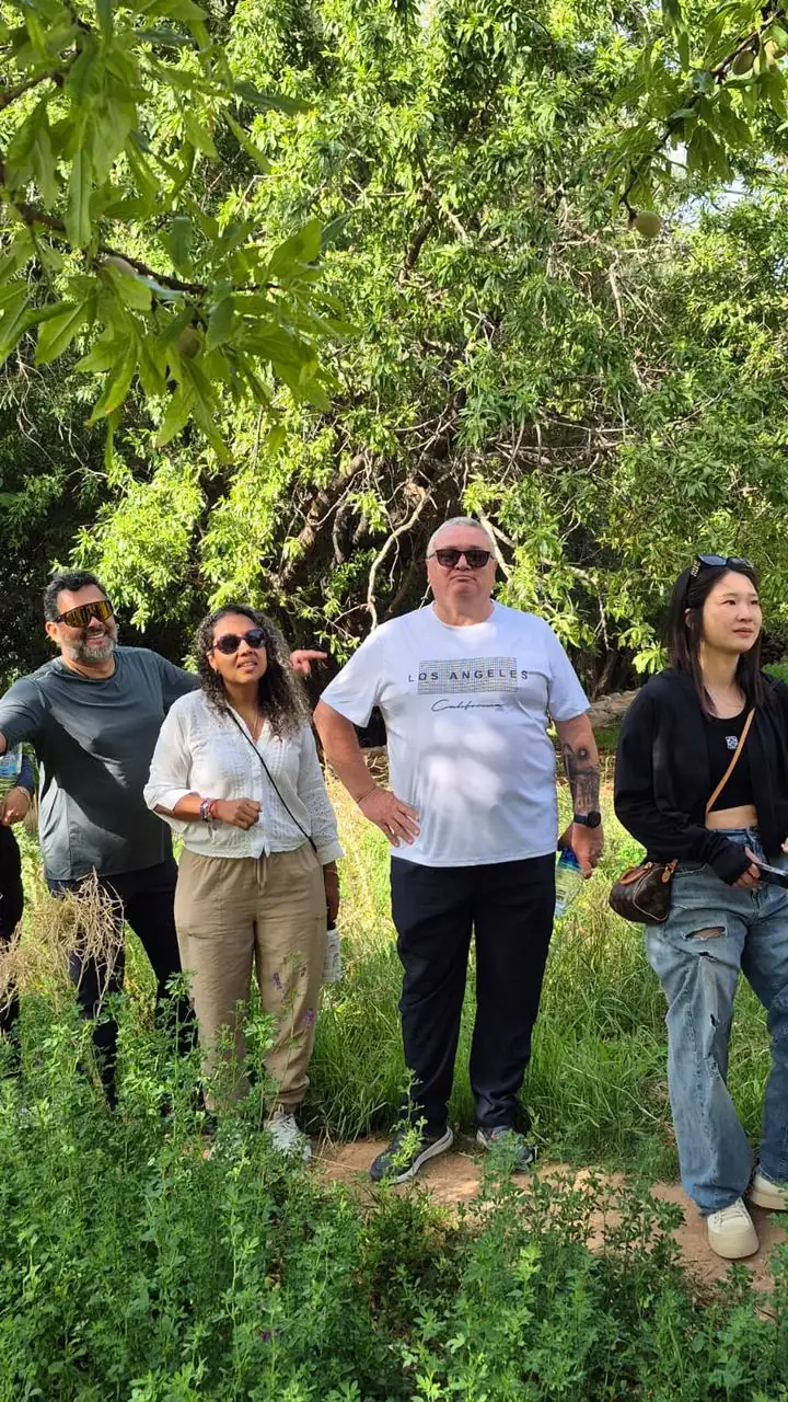 Viajeros caminando por un jardín de oasis